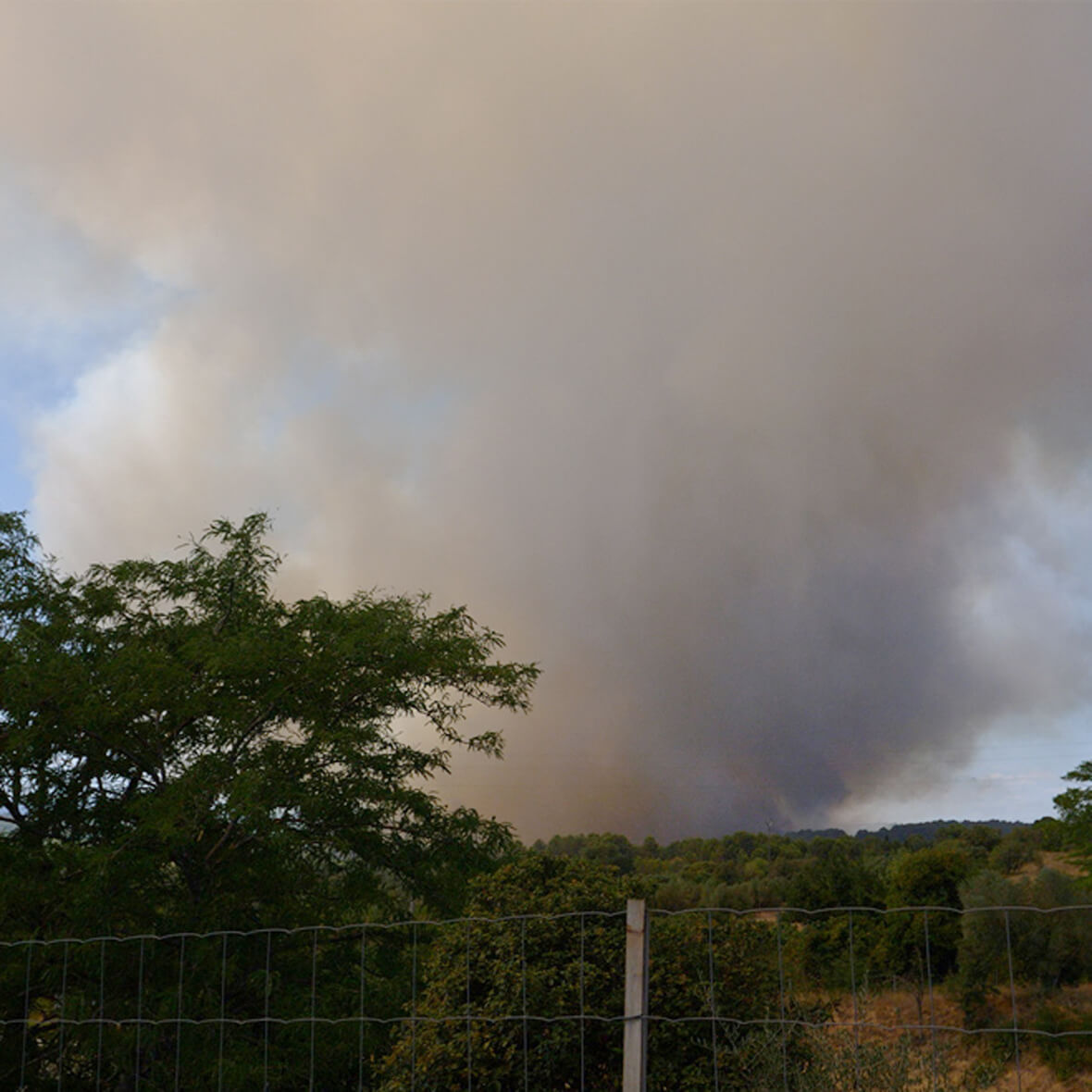 plume of smoke from the fire