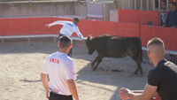 bullfighting in the arenas on a beautiful afternoon in February 2022 in Gallargues-le-Montueux