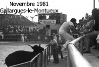 Retrospective of the traditional festivals of May and November in Gallargues-le-Montueux